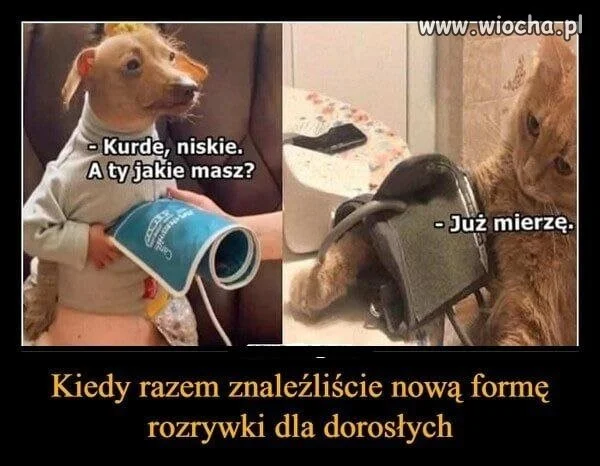 Na każdej polskiej imprezie