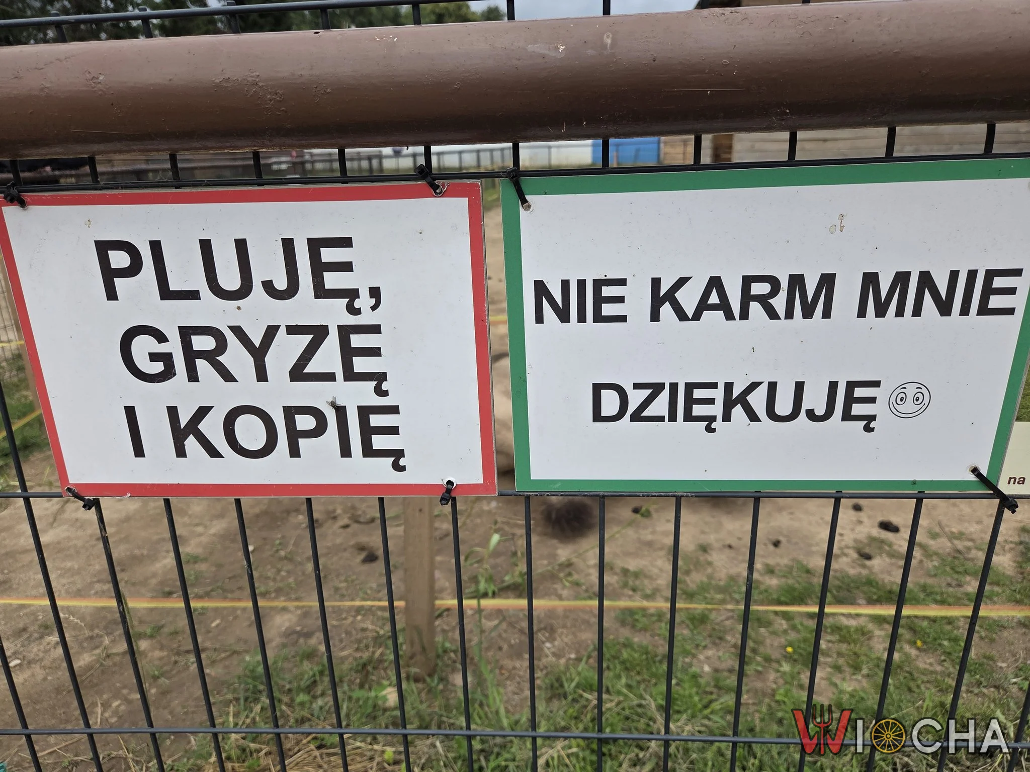 To tak samo jak ja, ale mnie proszę karmić