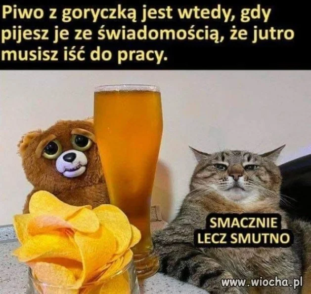 Piwo z goryczką to takie w niedzielę