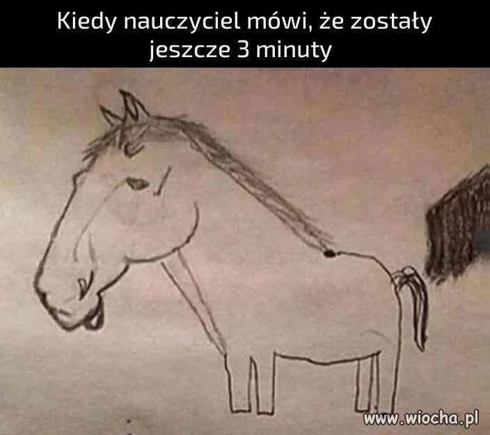 Jak zrobić konia w 180 sekund?