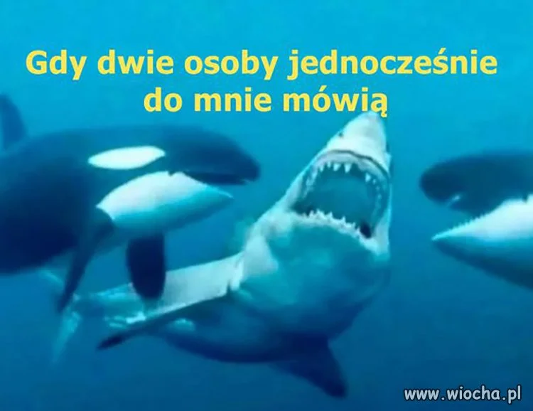 Tak to właśnie wygląda 