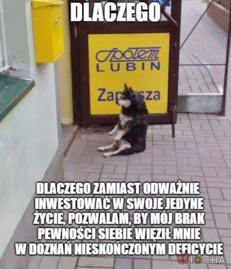 Ogromne dylematy