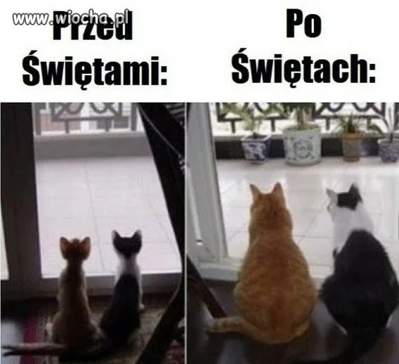 Przed i po świętach...