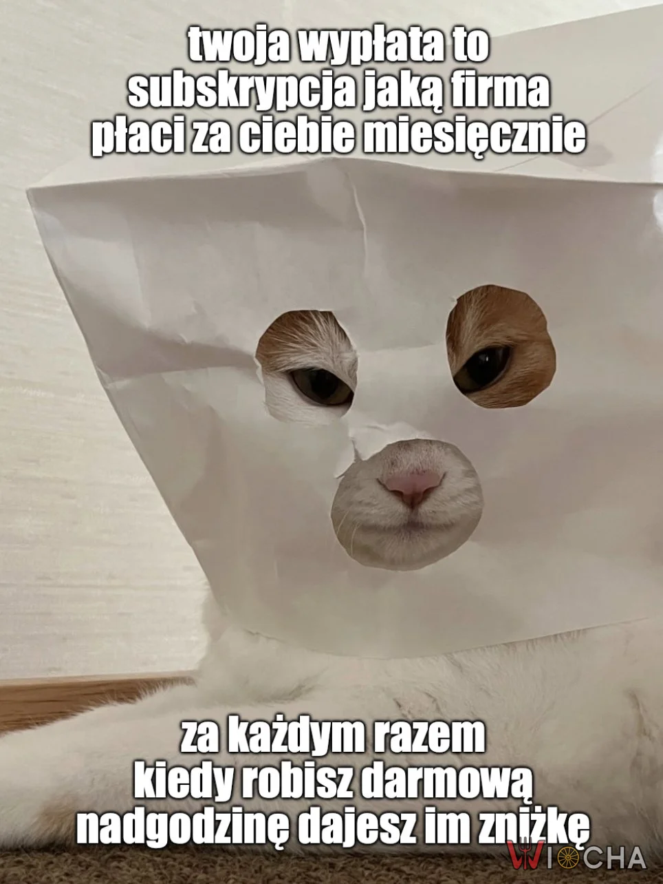 Zniżka za każdym razem