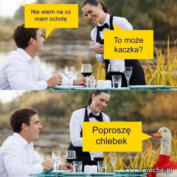 No i kaczka wszystkich zaskoczyła