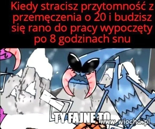 Wszystko gra