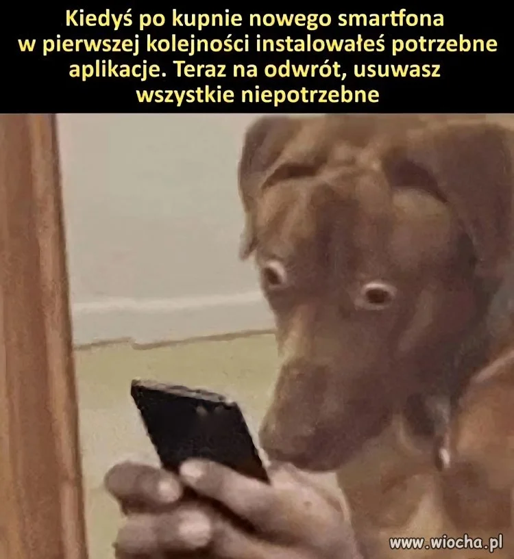 Panie, tyle tego nawalili