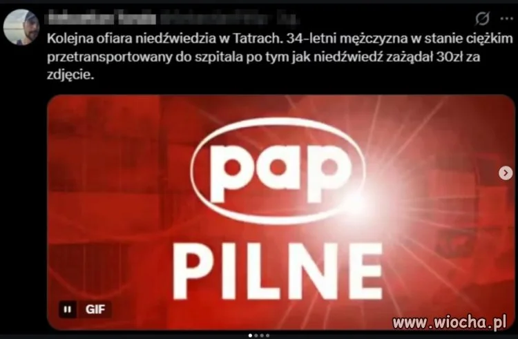 Skubany niedźwiedź zażądał 30 zł