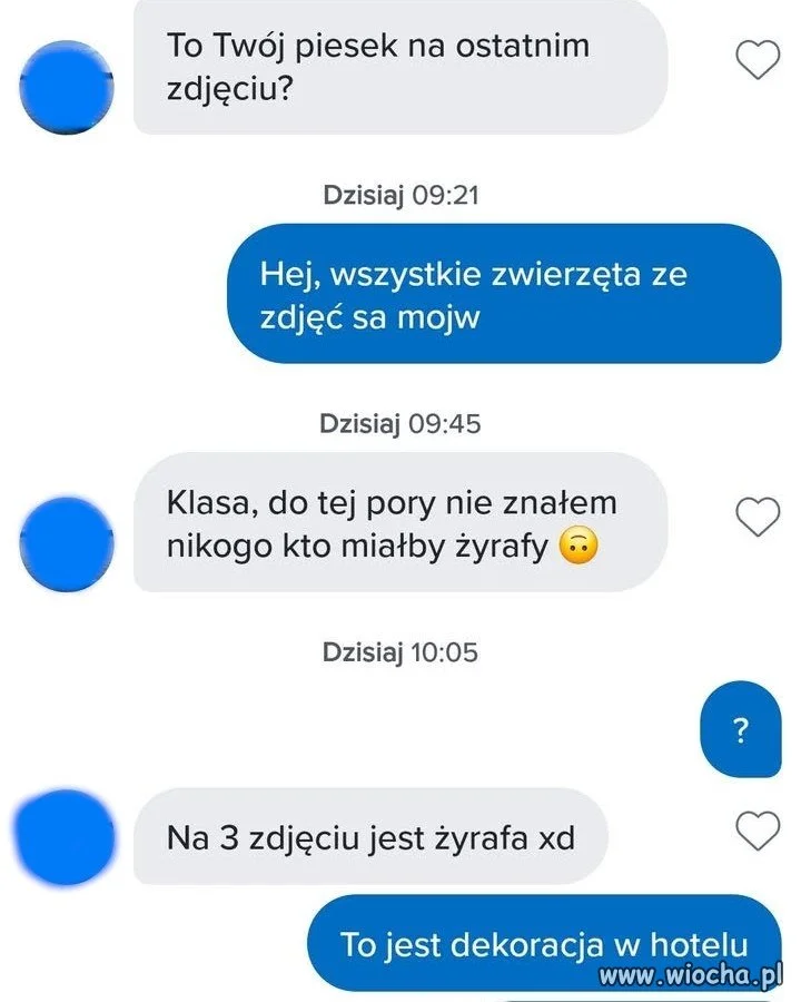 Klasa, nie znałem nikogo, kto miałby żyrafy