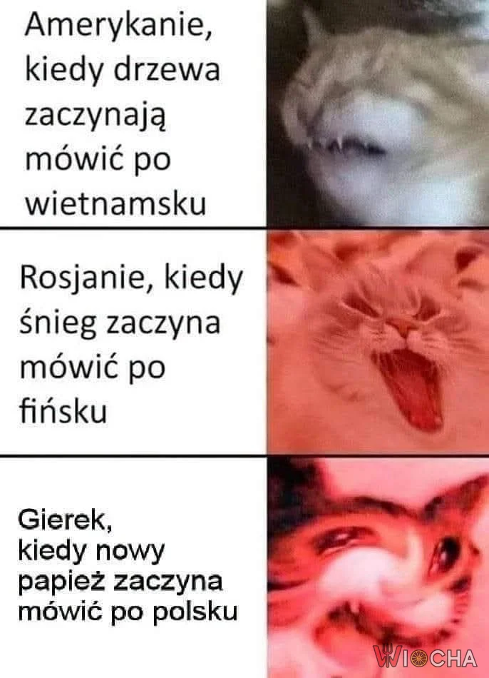 Co kraj to obyczaj