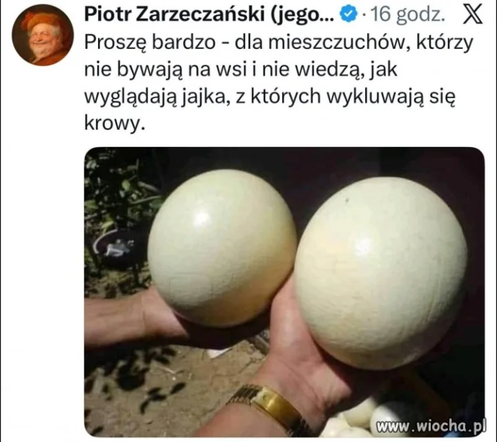 Jak wy nic nie wiecie o życiu