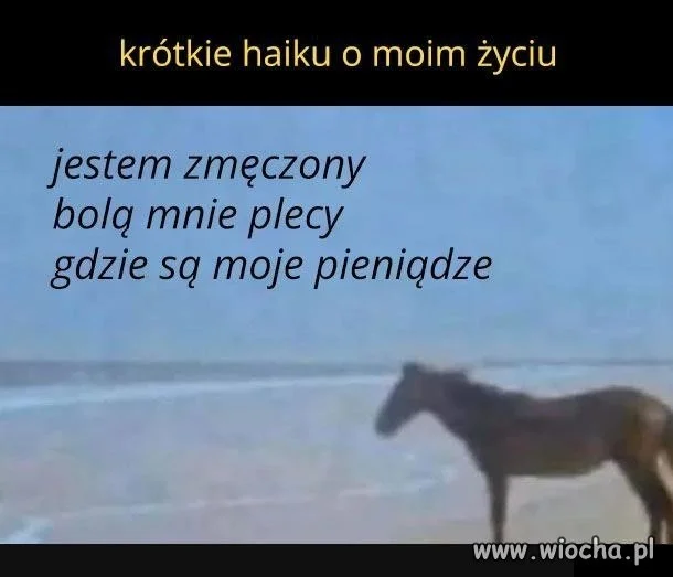 Wszystko się zgadza