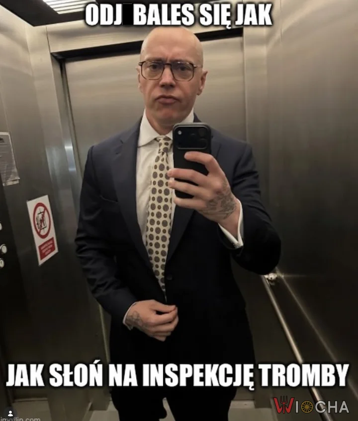 Jak słoń na inspekcję trąby