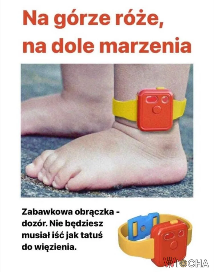 Zabawkowy nadzór