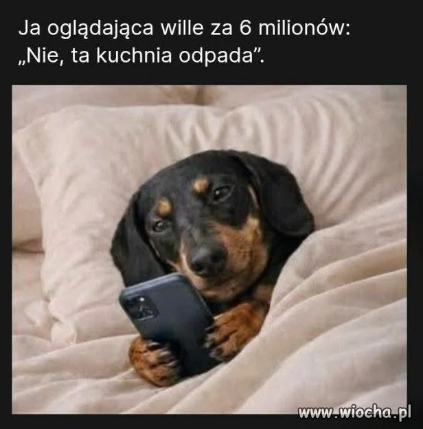 Kto biednemu zabroni pomarzyć