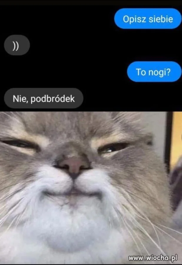Przynajmniej jest szczery