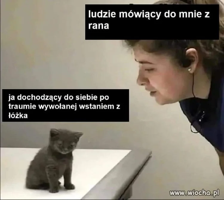 Nie teraz proszę