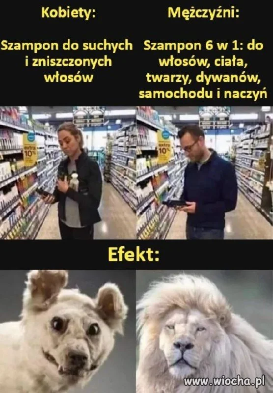 Sama prawda: kobiety vs. mężczyźni