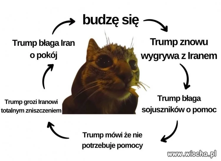 Krąg życia