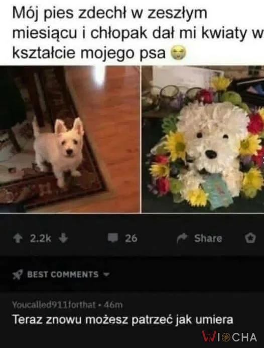 Kwietna wersja psa