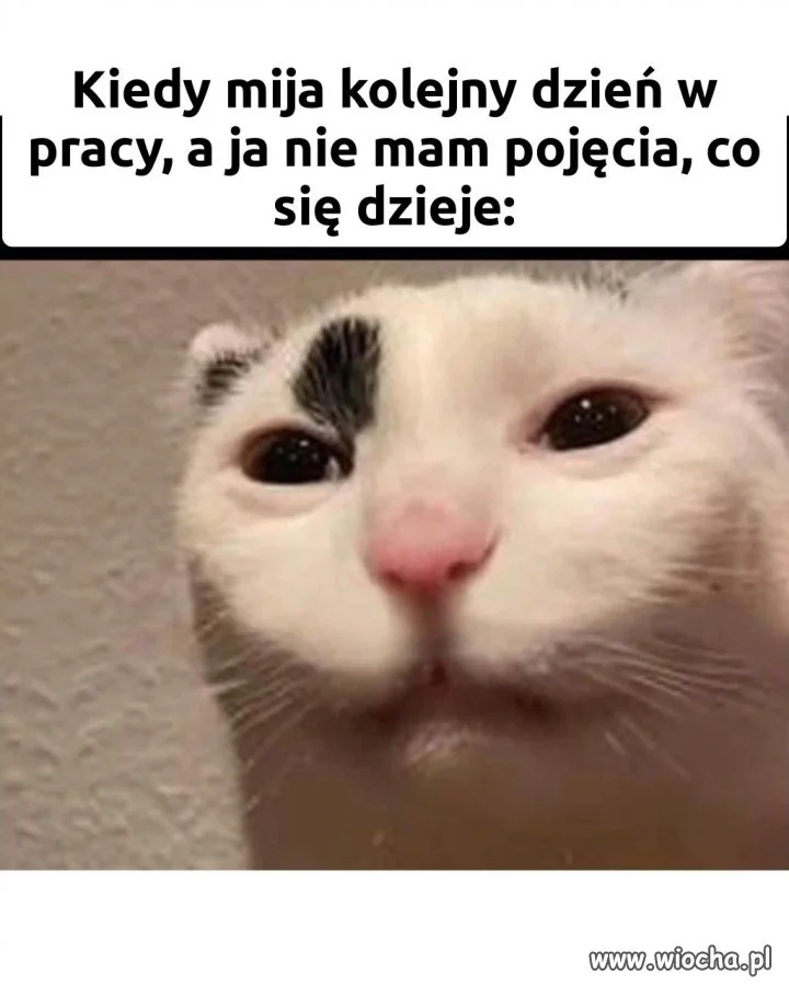 Dzień jak co dzień