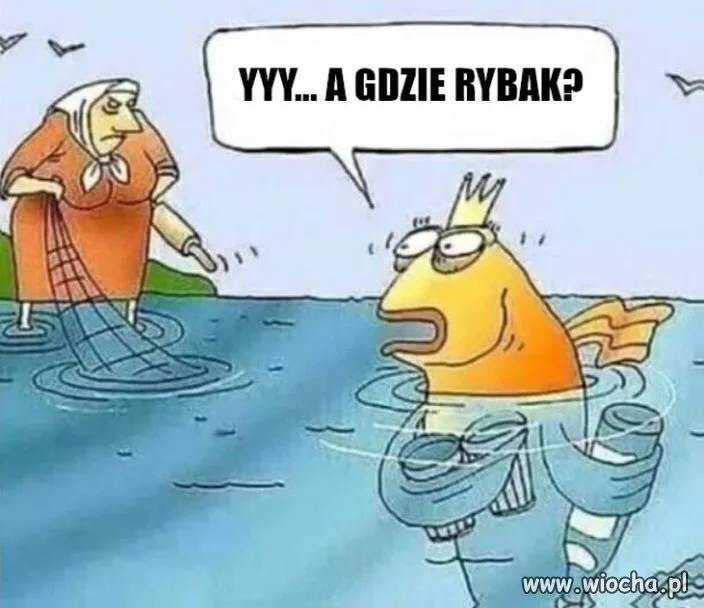 Nawet ryby są w szoku