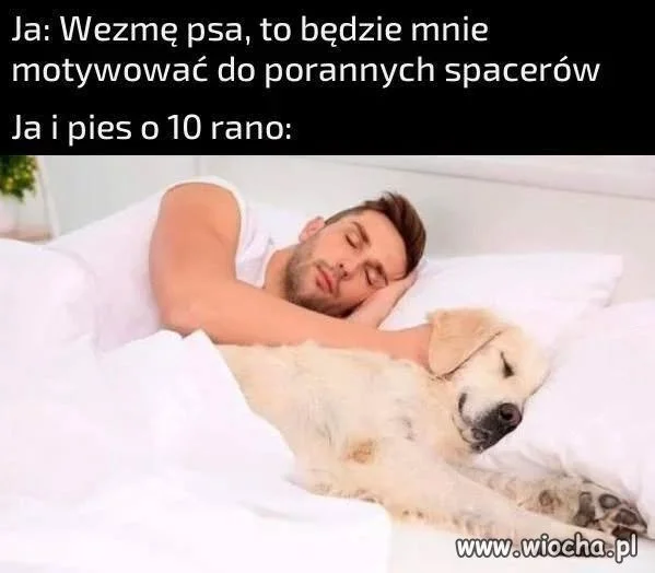 Miało być inaczej