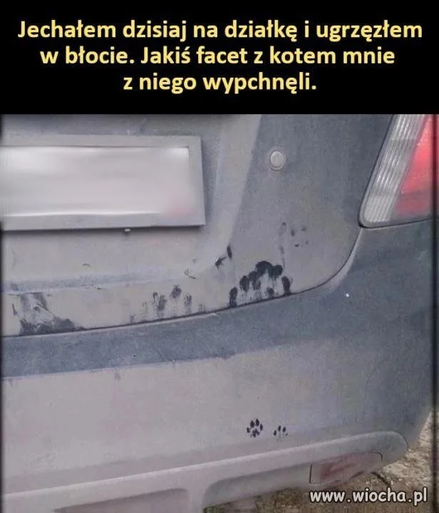 No i pięknie