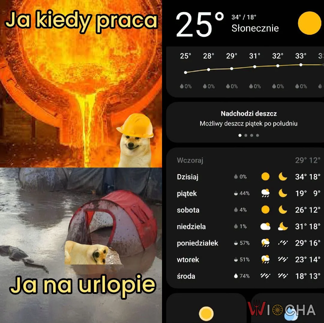 Zawsze to samo