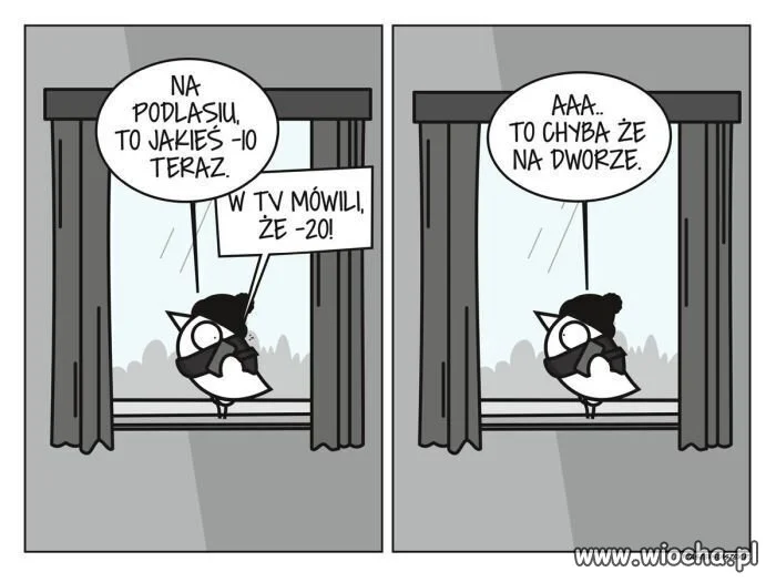 Zimno, Zimno 