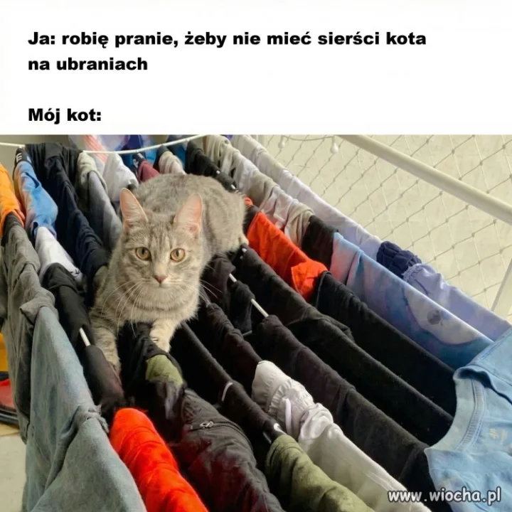 Za każdym razem to samo