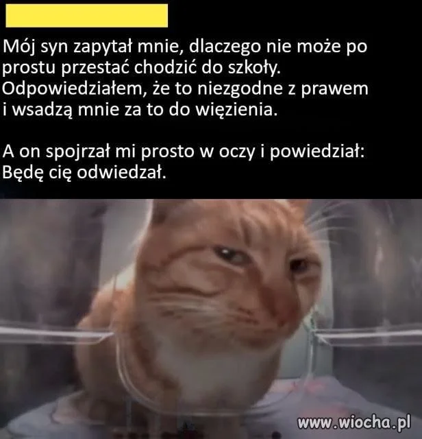 Pójdę za to do więzienia