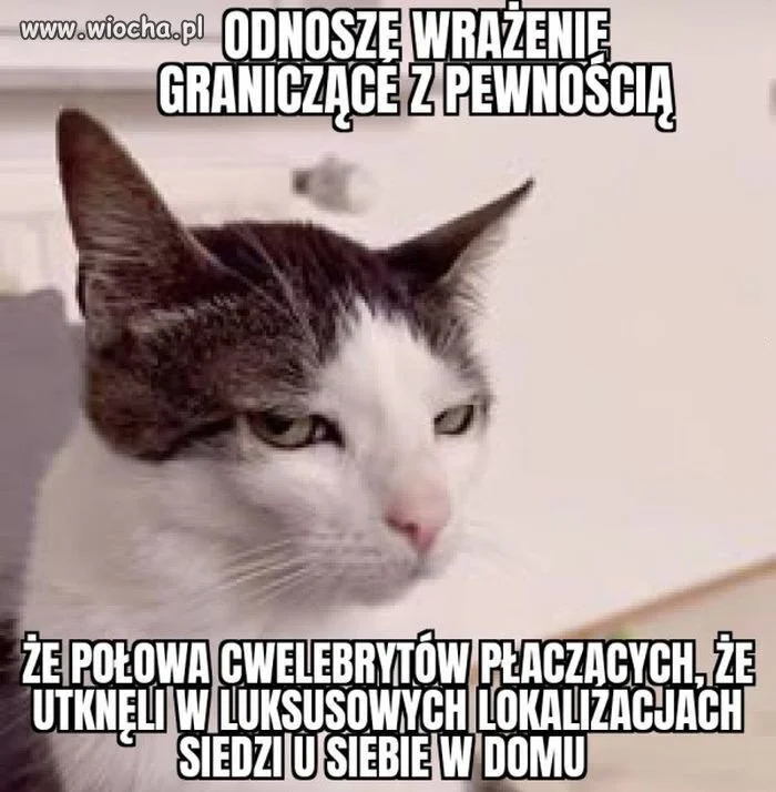 I tak właśnie to wygląda 