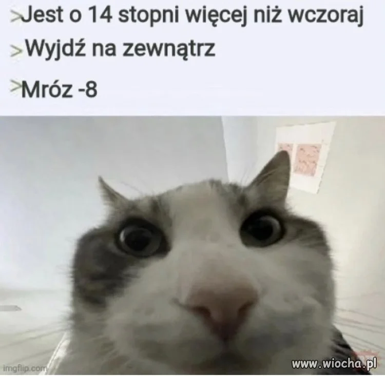 Człowiek już się zdążył przyzwyczaić