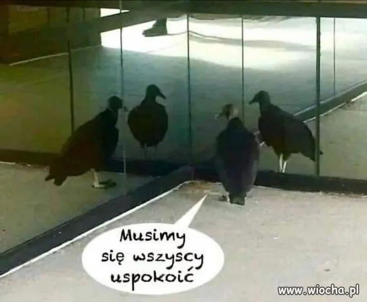 Tylko spokój nas uratuje