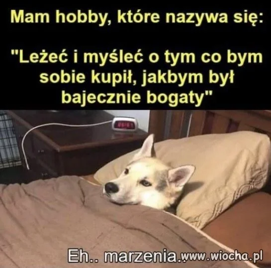 Hobby: Rozmyślanie o bogactwie