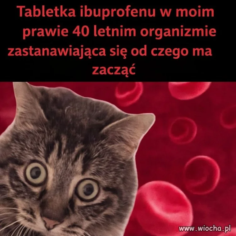 Od czego by tu zacząć