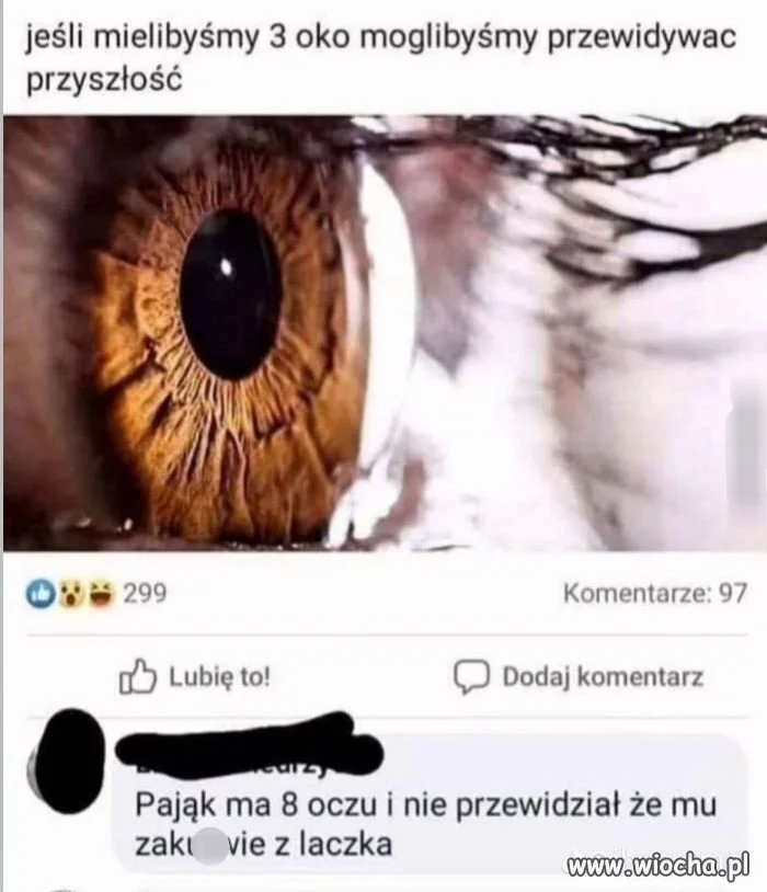 Więcej oczu to większe pole widzenia?