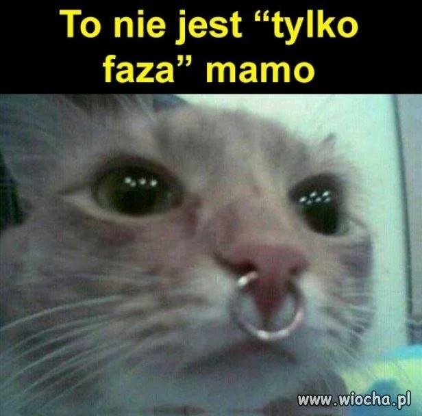 To nie jest faza mamo