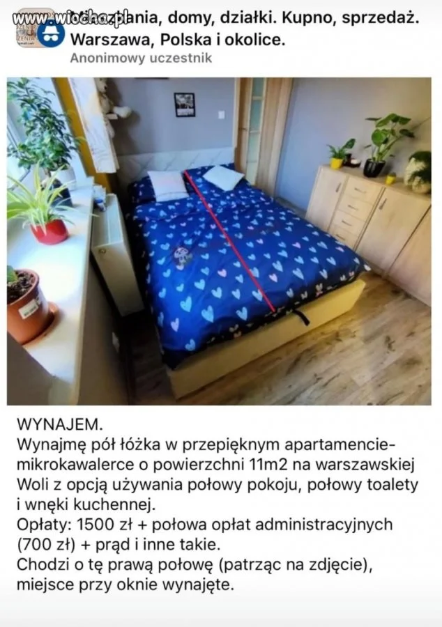 "Wynajmę połowę łóżka". Ależ czasów dożyliśmy...