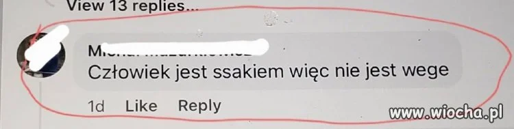 Wszystko jasne?