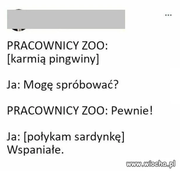 Proszę spróbować