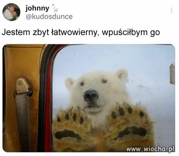 Wygląda uroczo