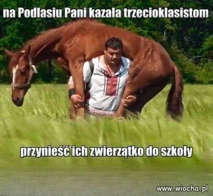 Mamo, śpisz?