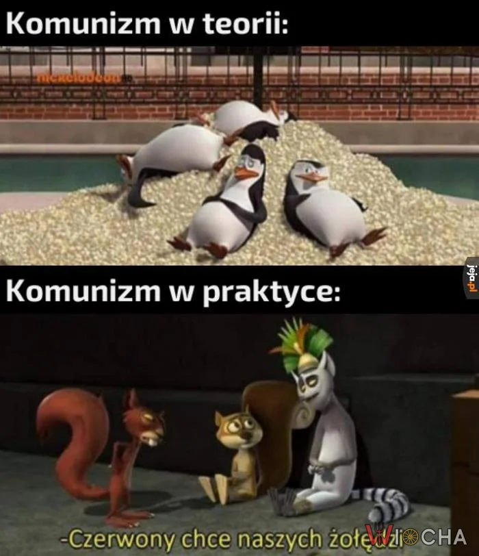 Teoria vs Praktyka