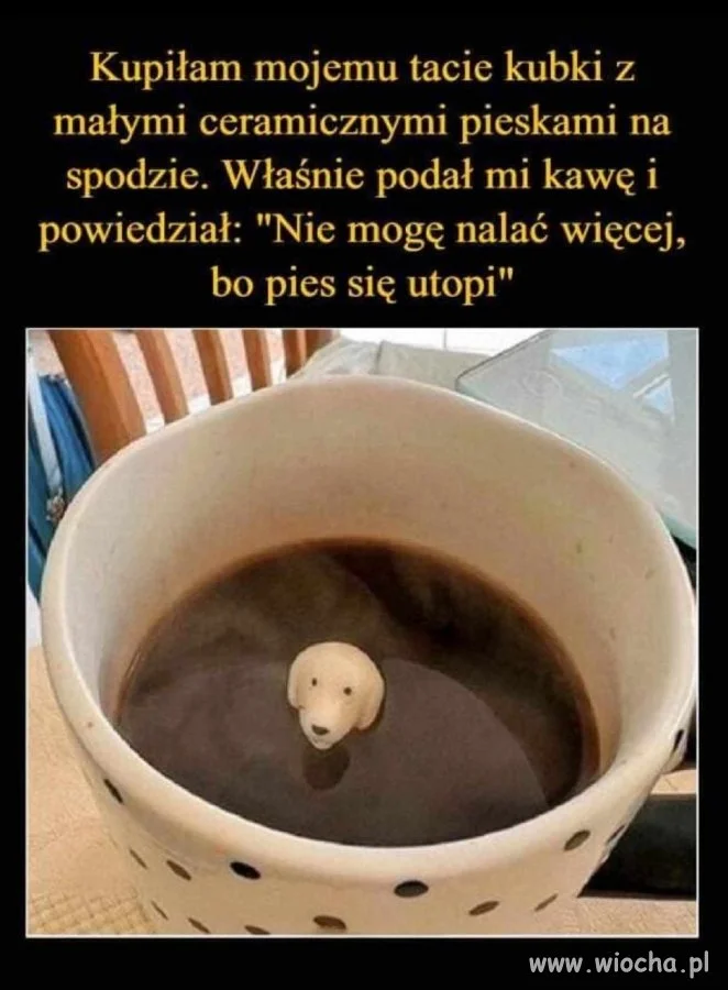 Pieski w każdym uwydatniają tą delikatną stronę