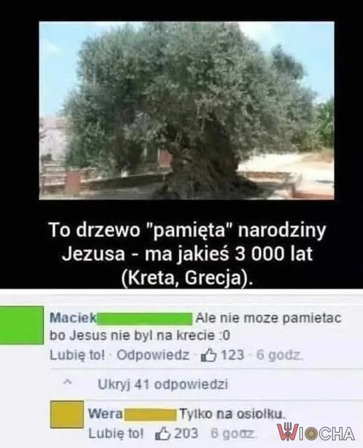 Jezus był na osiołku