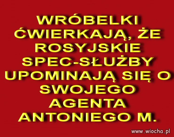 Jakoś mnie to nie dziwi