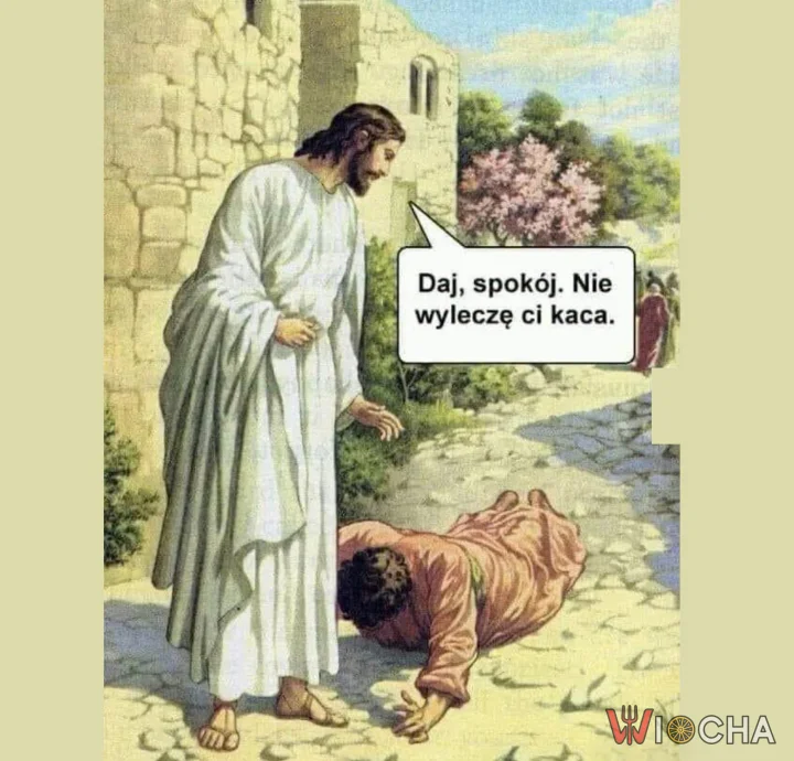 Kac to nie choroba