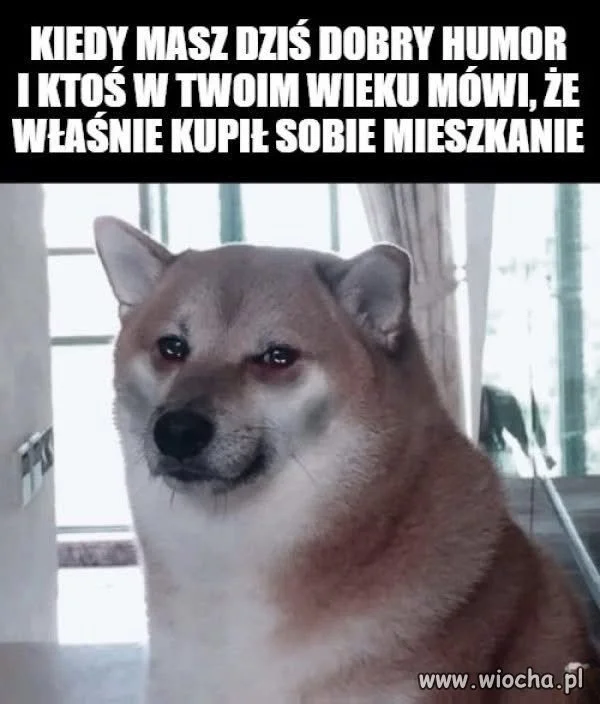 No i humor popsuty